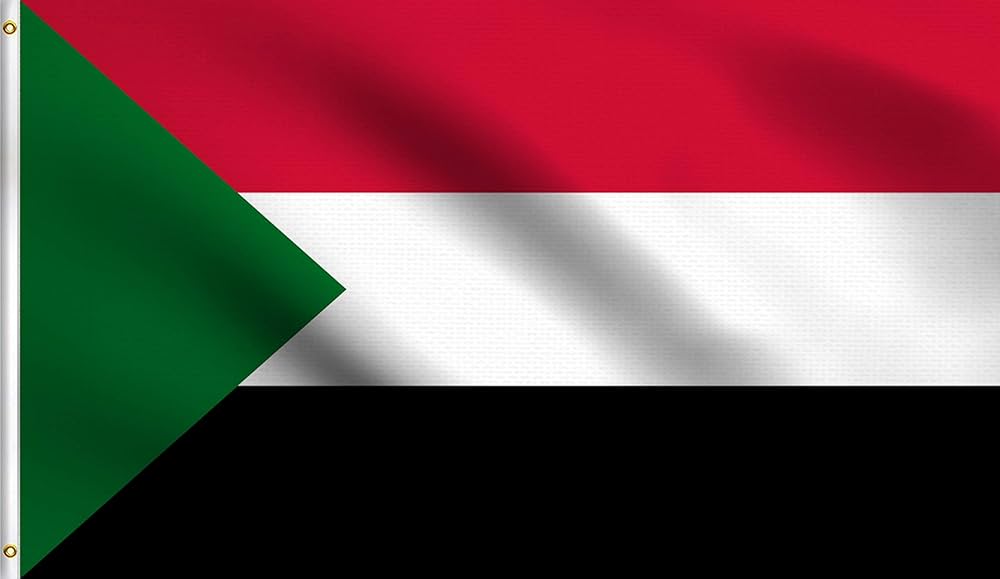 SUDAN | AFRICA: Grupo paramilitar FAR anuncia toma del control de una ciudad estratégica en Kordofán del Norte, en Sudán